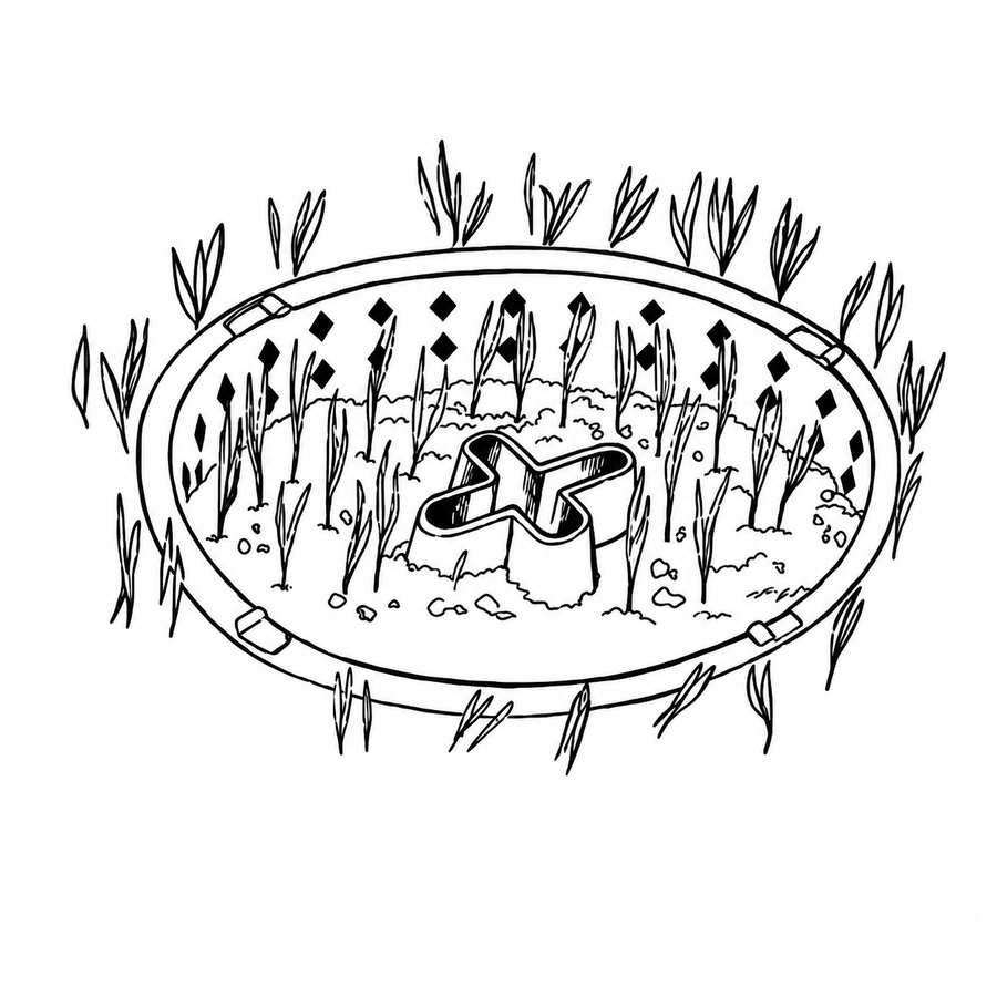 Reverse the Lid, Fill with Soil, Plant your Seeds