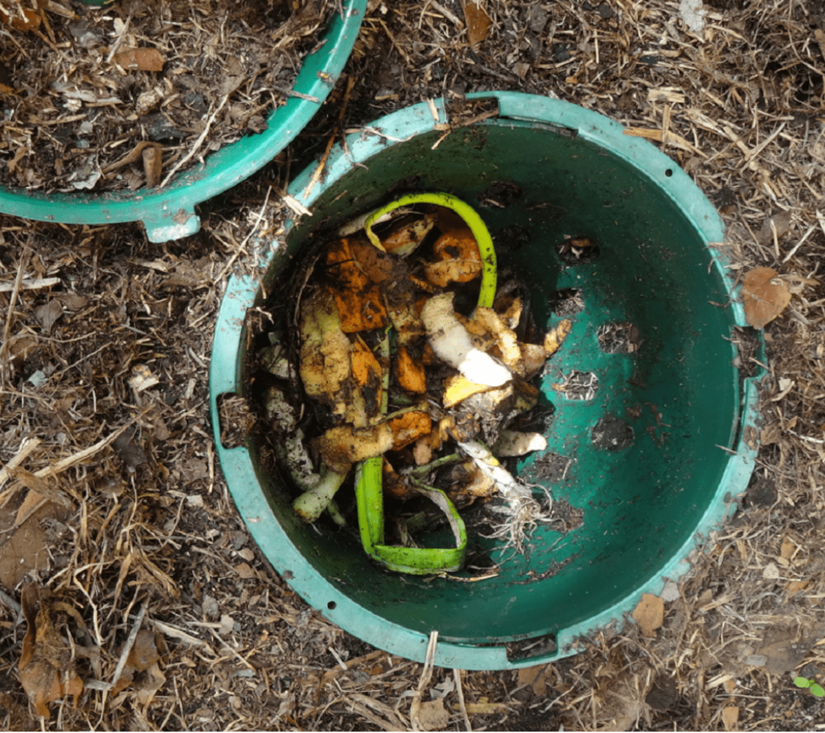 Economy Gardener Pack  | 5L Compost Bin