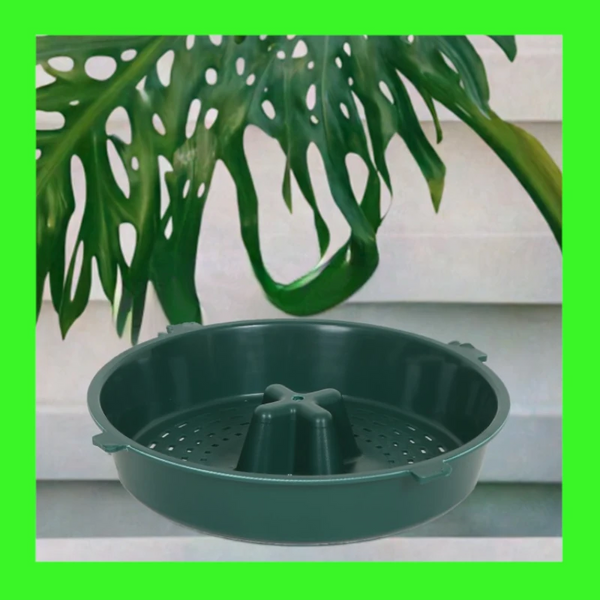 Compot Lid