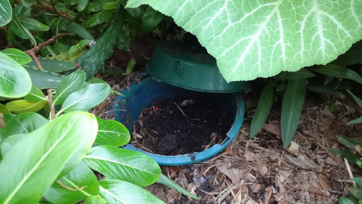 5L Compost Bin x 3