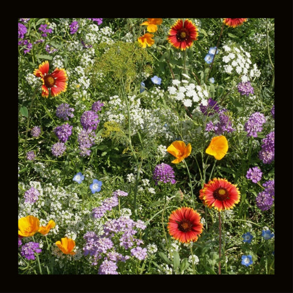 FLOWER-GOOD BUG MIX (15G)