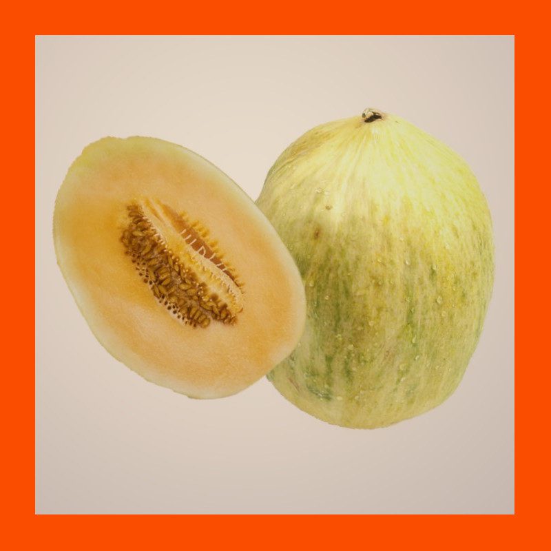 FRUIT-CRENSHAW-MELON