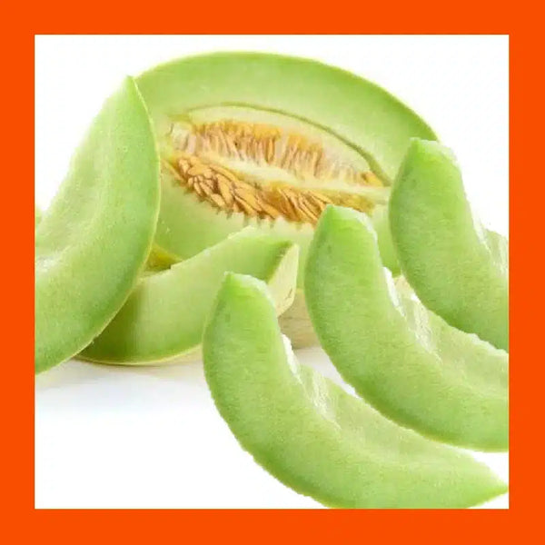 FRUIT-HONEYDEW-GREEN FLESH-MELON