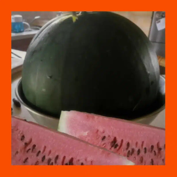 FRUIT-TINY TOT-WATERMELON