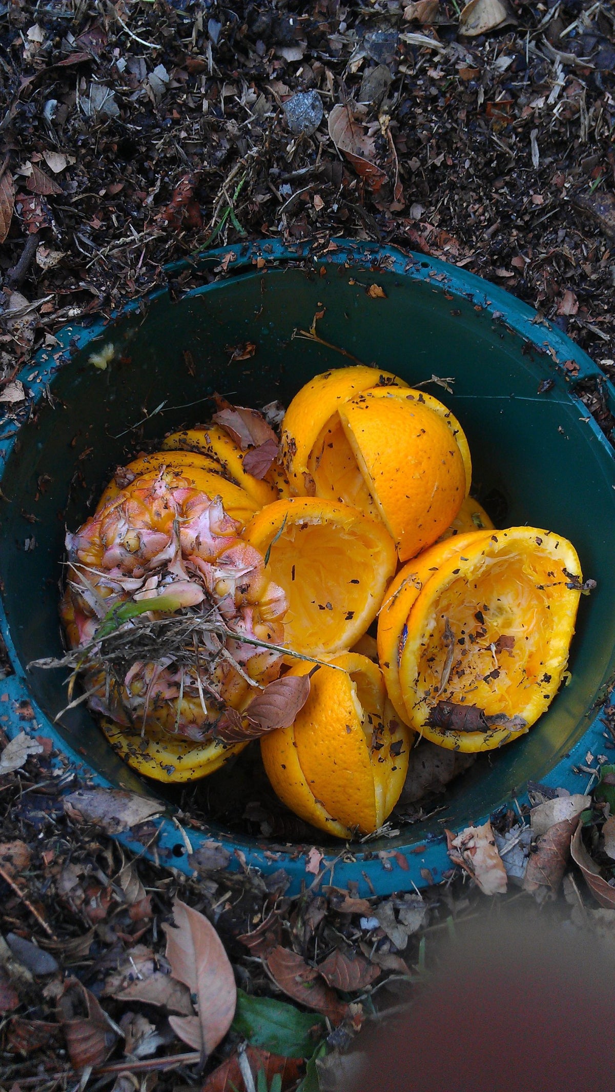 5L Compost Bin x 1