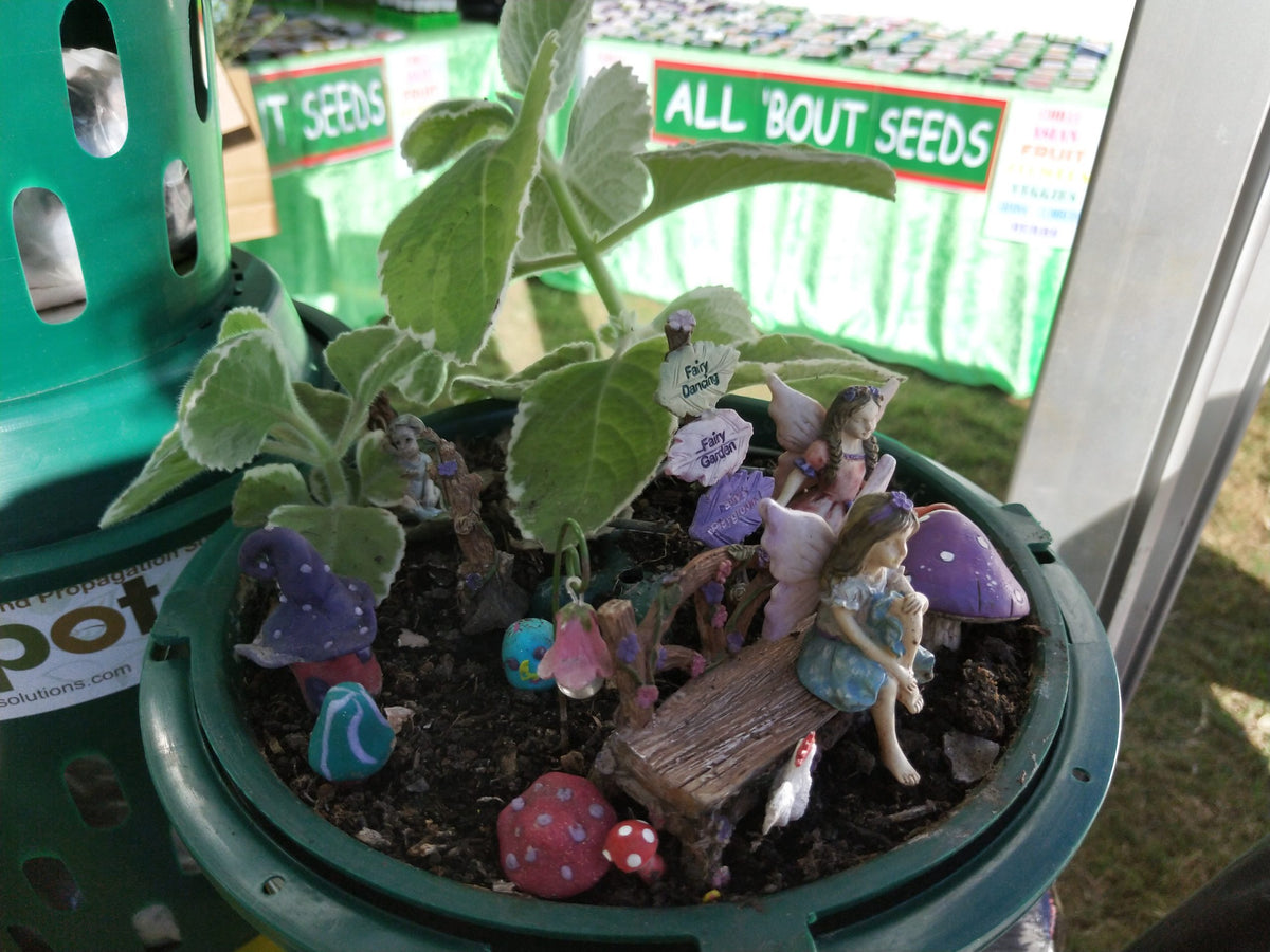 5L Compost Bin x 3