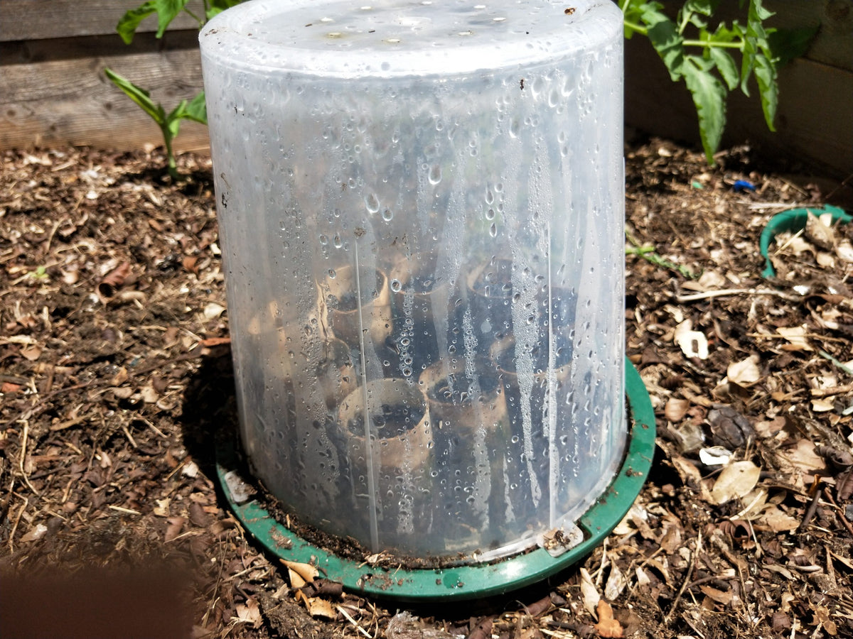 Compot & Propagator x 2 | 5L Compost Bin