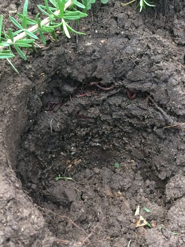 5L Compost Bin x 5