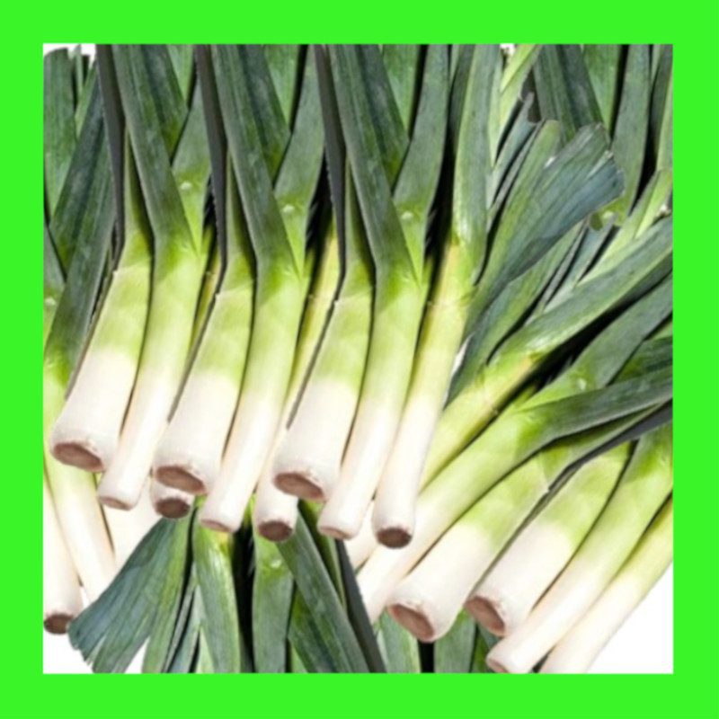 LEEK-AMERICAN FLAG