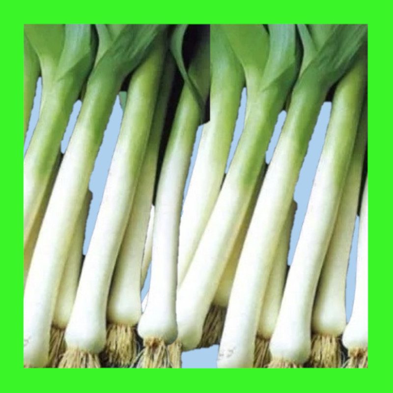 LEEK-CARENTAN