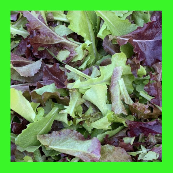 LETTUCE-MESCLUN MIX