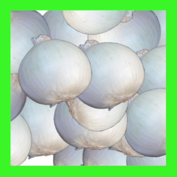 ONION-WHITE SWEET SPANISH