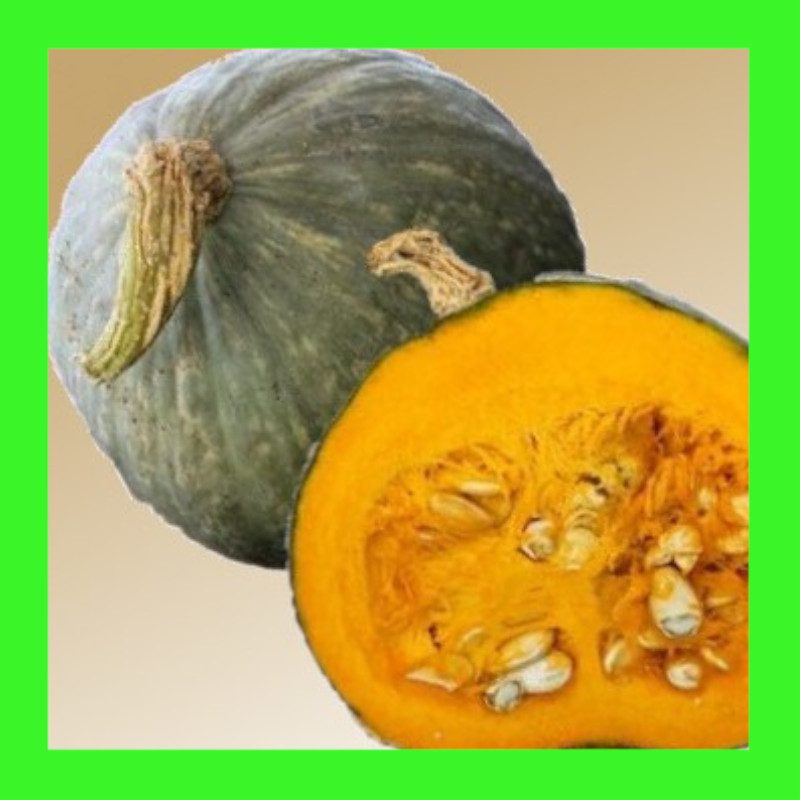 PUMPKIN-BABY BLUE