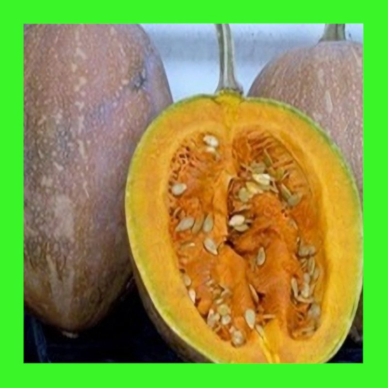 PUMPKIN-GRAMMA