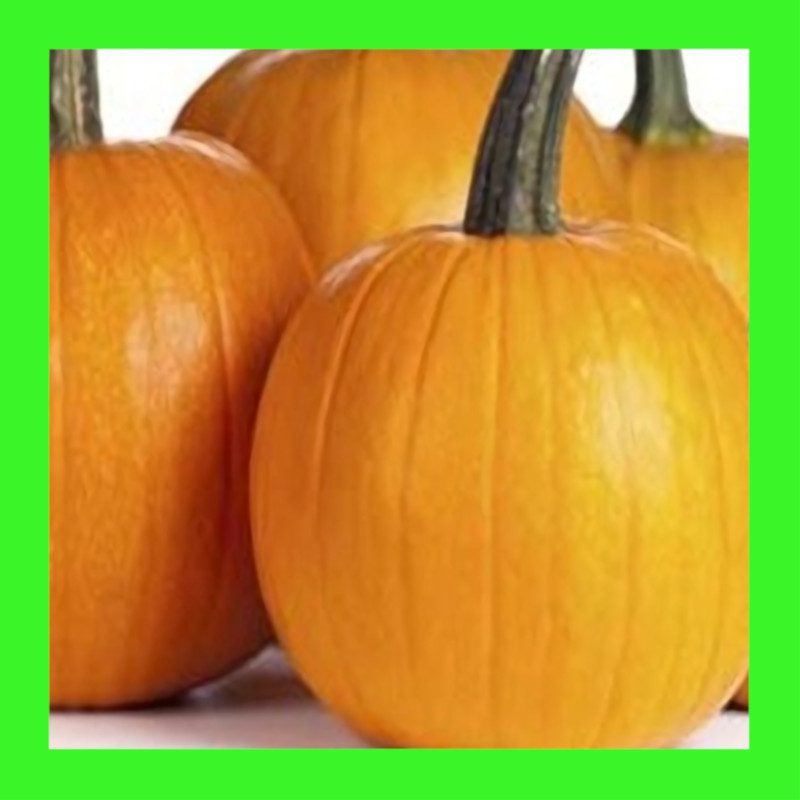 PUMPKIN-JACK O'LANTERN