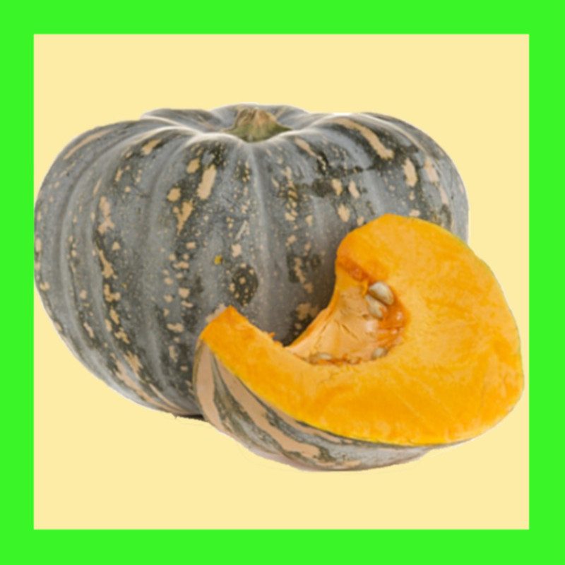 PUMPKIN-JAP
