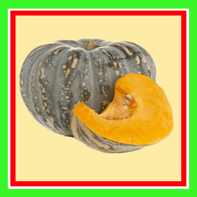 PUMPKIN-JAP (TREATED)