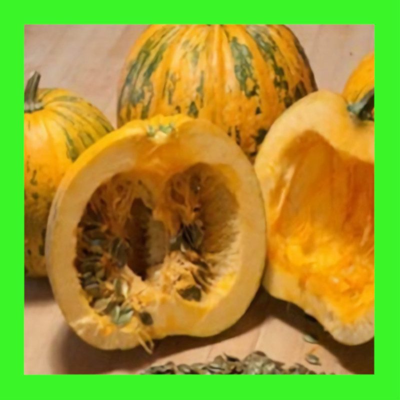 PUMPKIN-STYRIAN HULLESS