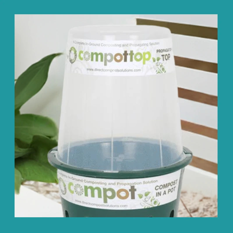Plant Propagator Top
