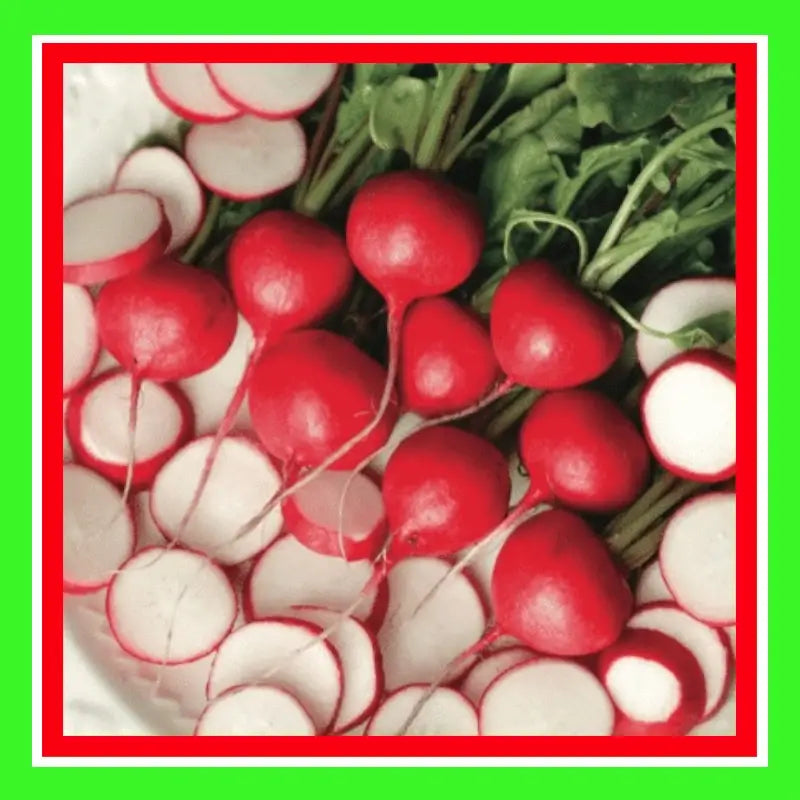 RADISH-CHERRY BELLE (TREATED)