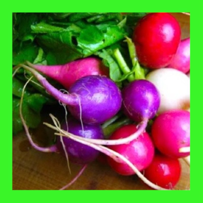 RADISH-EASTER EGG MIX