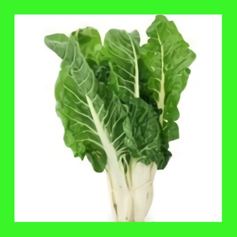 SILVERBEET-FORDHOOK GIANT