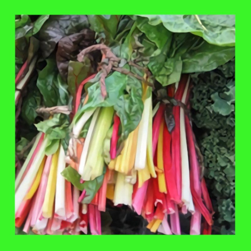 SILVERBEET-RAINBOW
