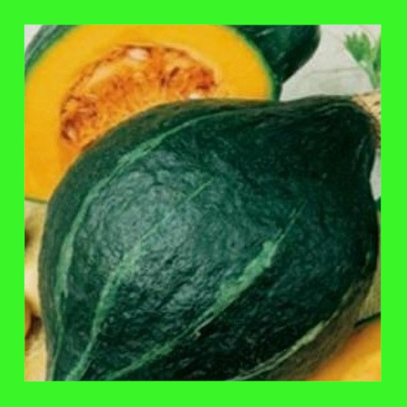 SQUASH-HUBBARD-GREEN