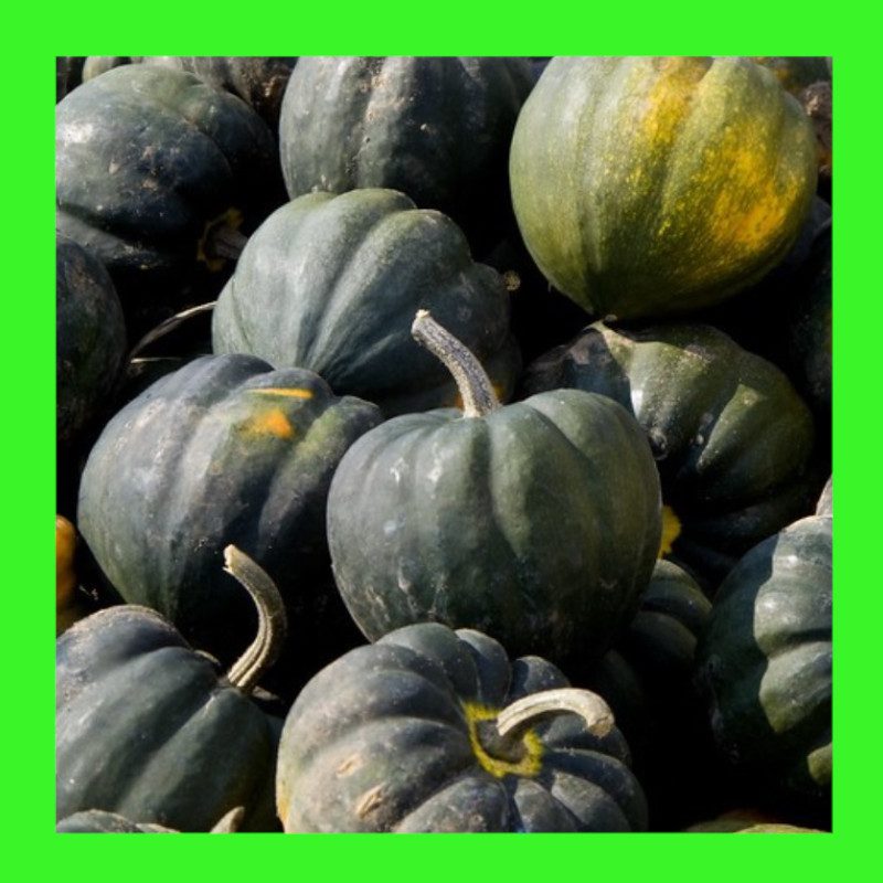 SQUASH-TABLE KING