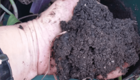 Starter Kit Special | 5L Compost Bin