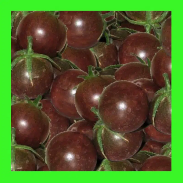 TOMATO-CHERRY-BLACK