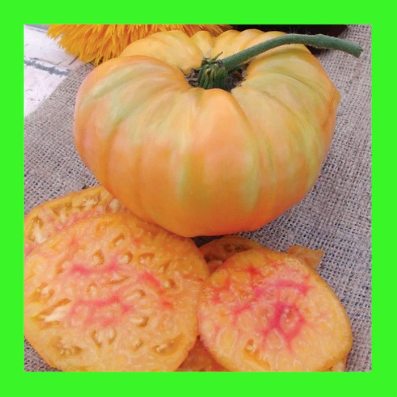 TOMATO-PINEAPPLE