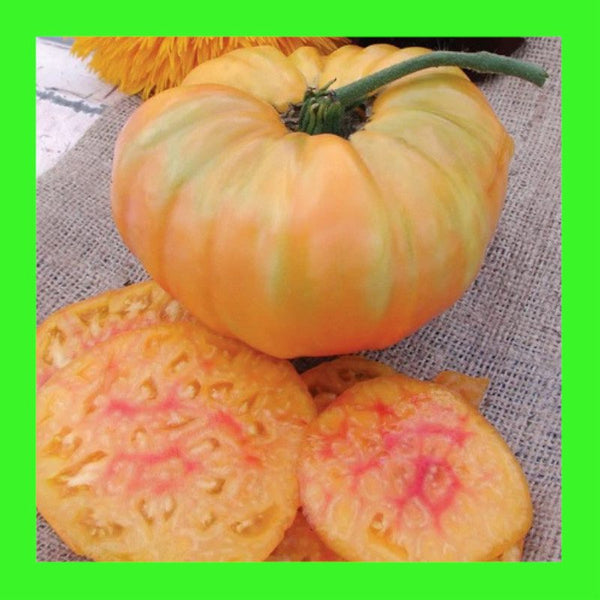 TOMATO-PINEAPPLE
