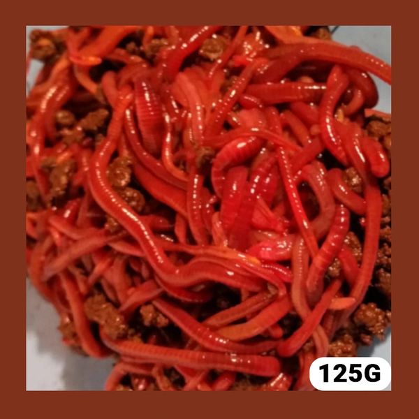 Fresh Compost Worms (125G)