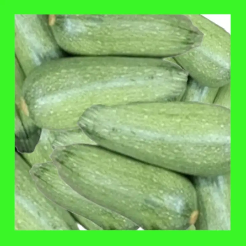 ZUCCHINI-GRAY