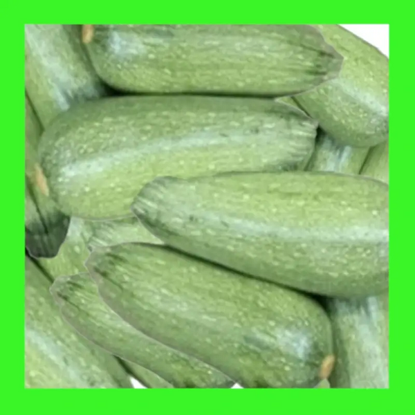 ZUCCHINI-GRAY