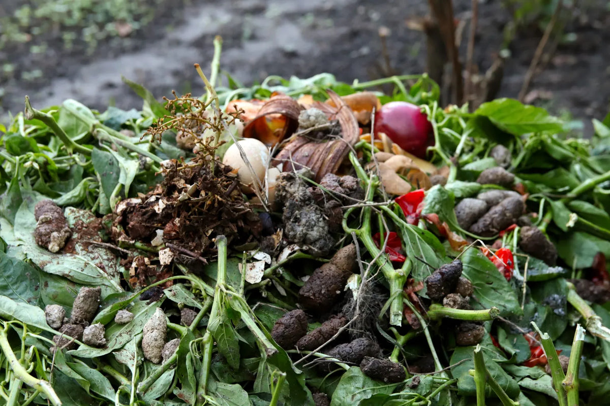 Why Choose a Food Waste Composter?