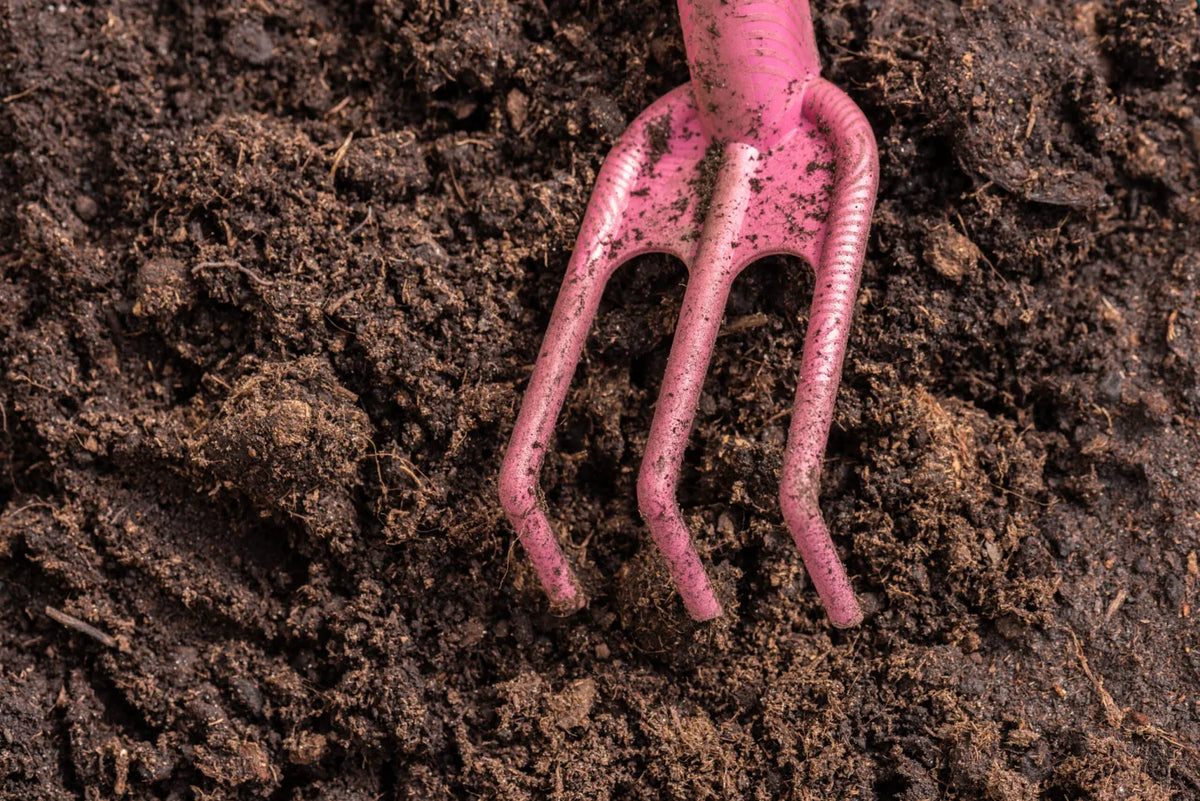 Why Buy Compost Worms?