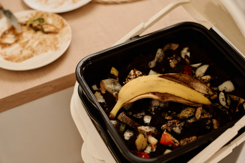 Composting Food Scraps In Garden