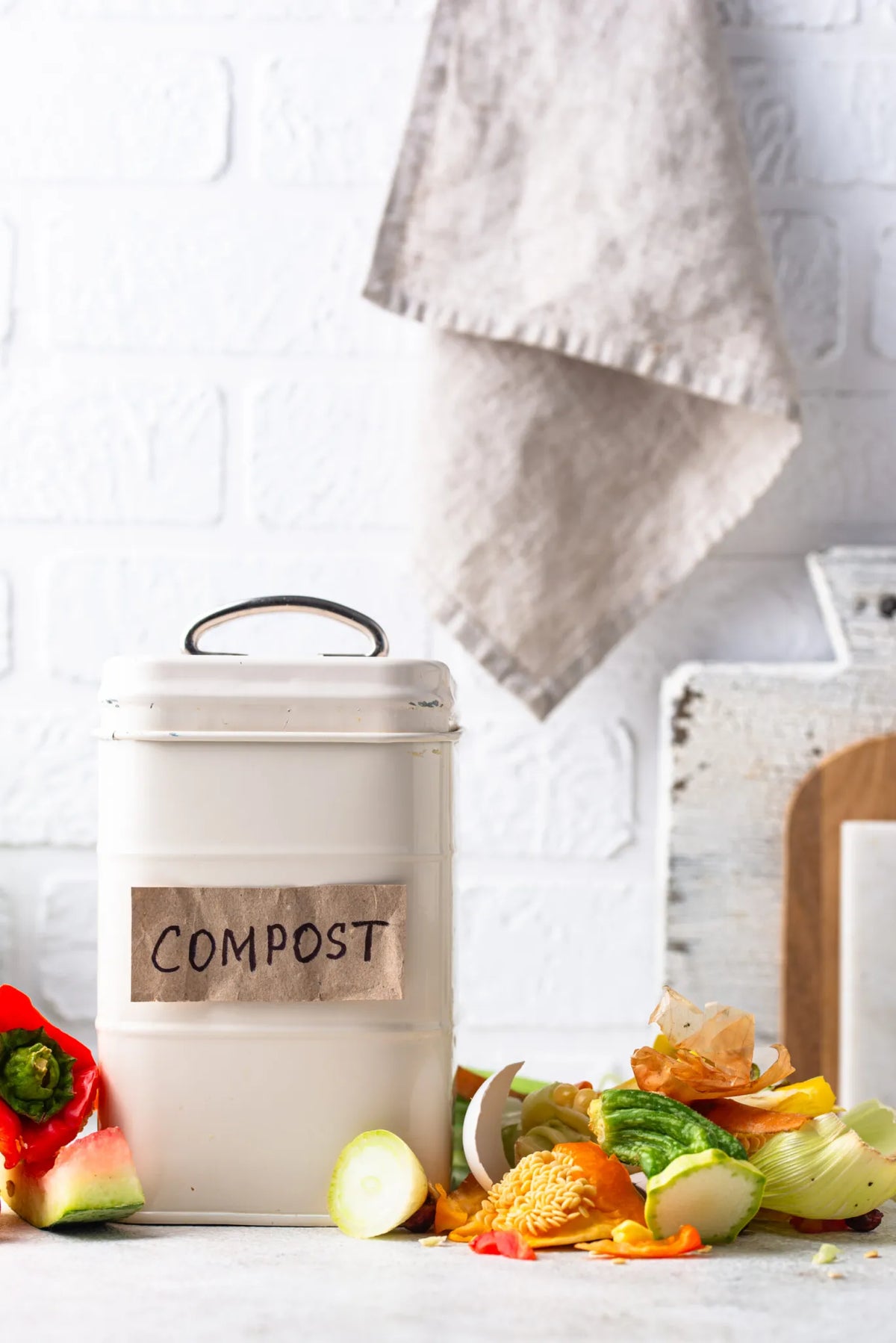 Why Choose a Compost Bin For Meat Scraps?