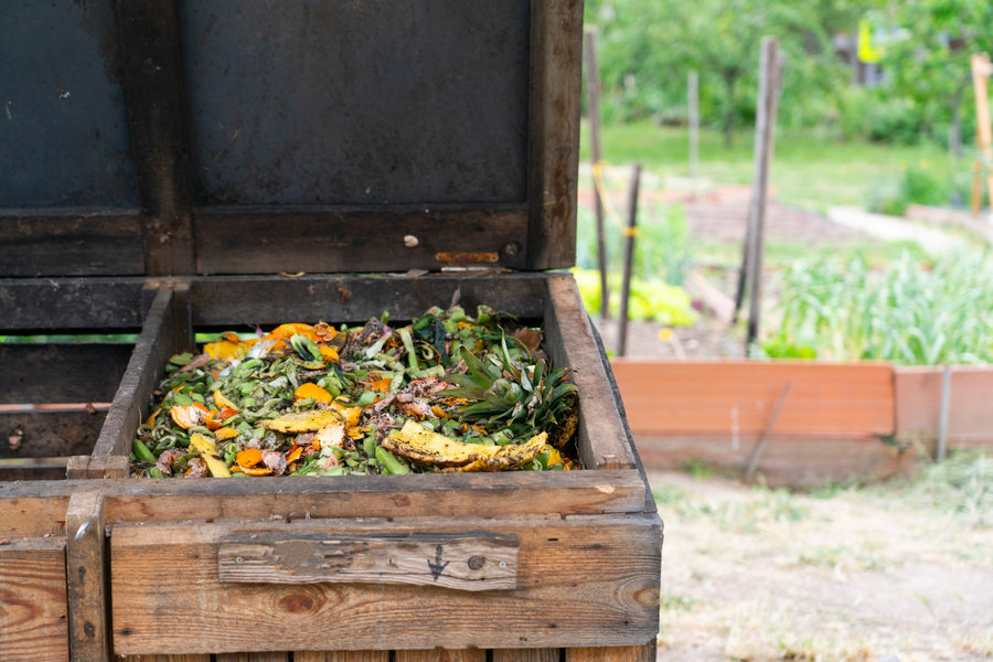 Pet Waste Composting System – A Cleaner and More Sustainable Waste Management Solution