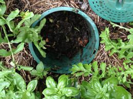 5L Compost Bin x 6