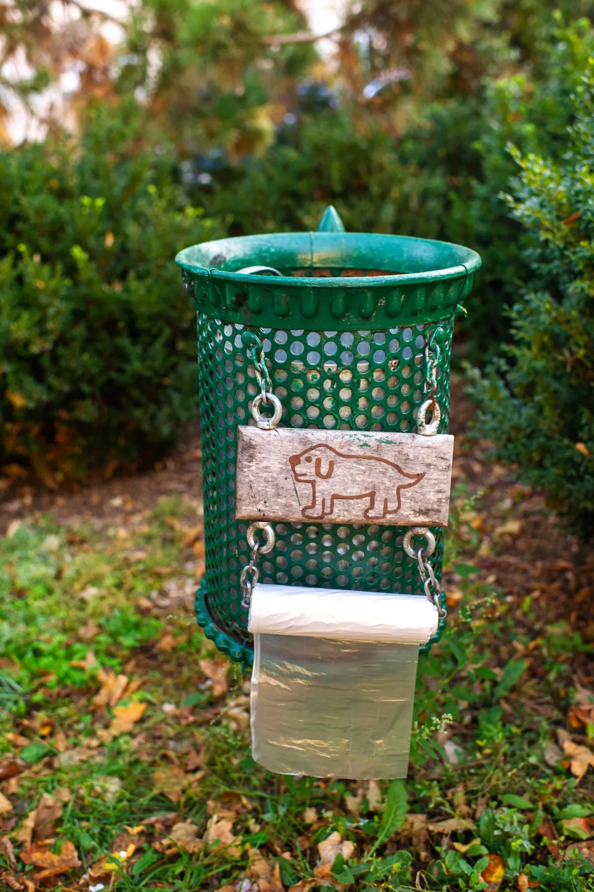 Why Choose a Pet Waste Composting System?