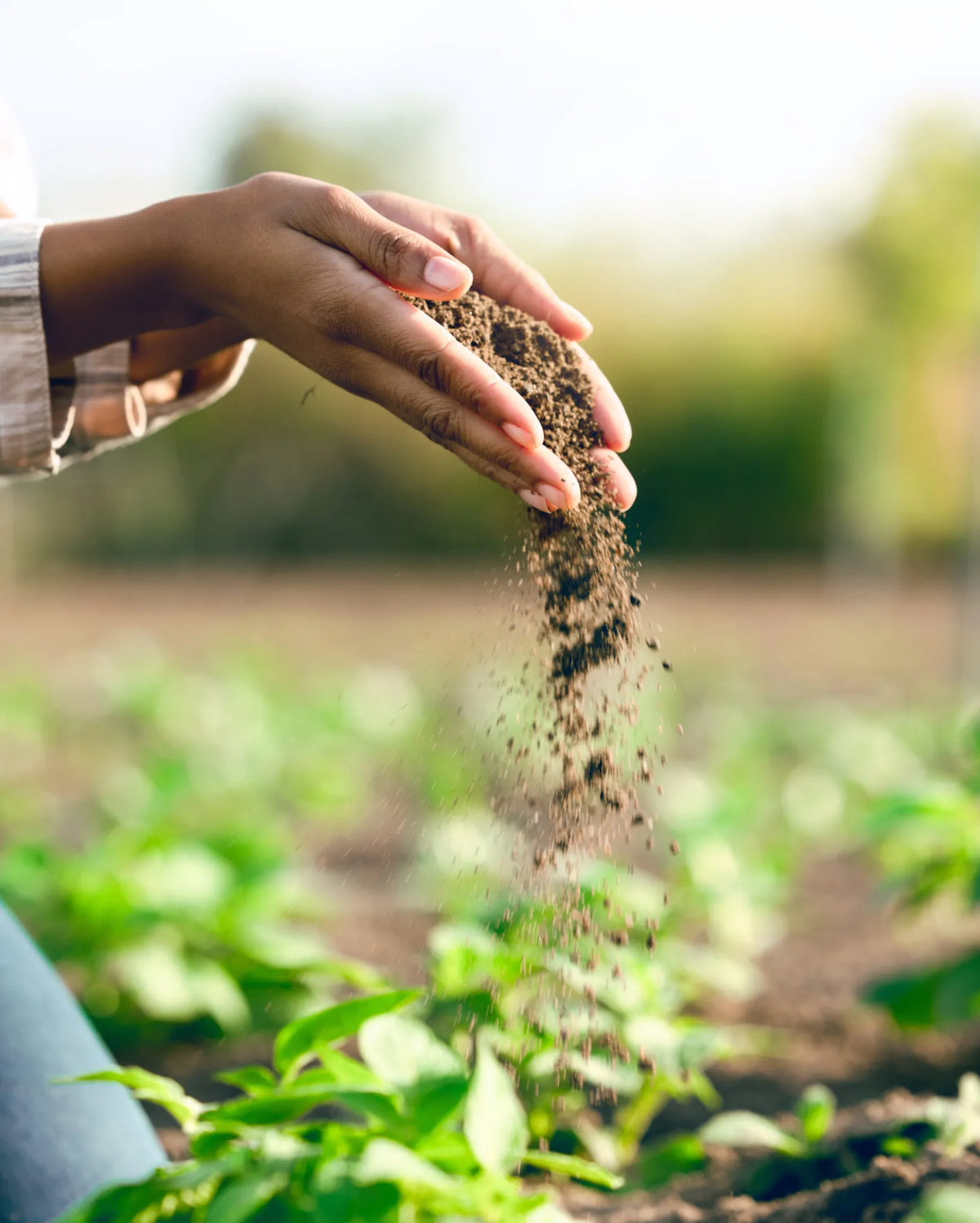 Why Choose Our Soil Solutions?