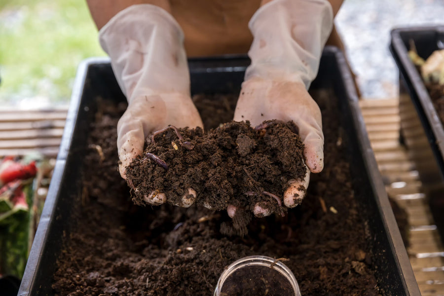 Kitchen Waste Composter – A Smarter Way to Recycle Food Waste at Home