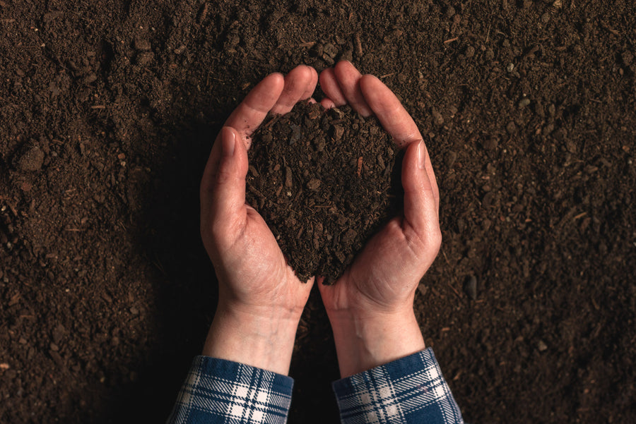Soil Solutions – Build Healthier Soil for Stronger Gardens