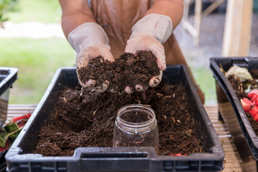 Gardening And Composting – The Perfect Combination for a Healthier Garden