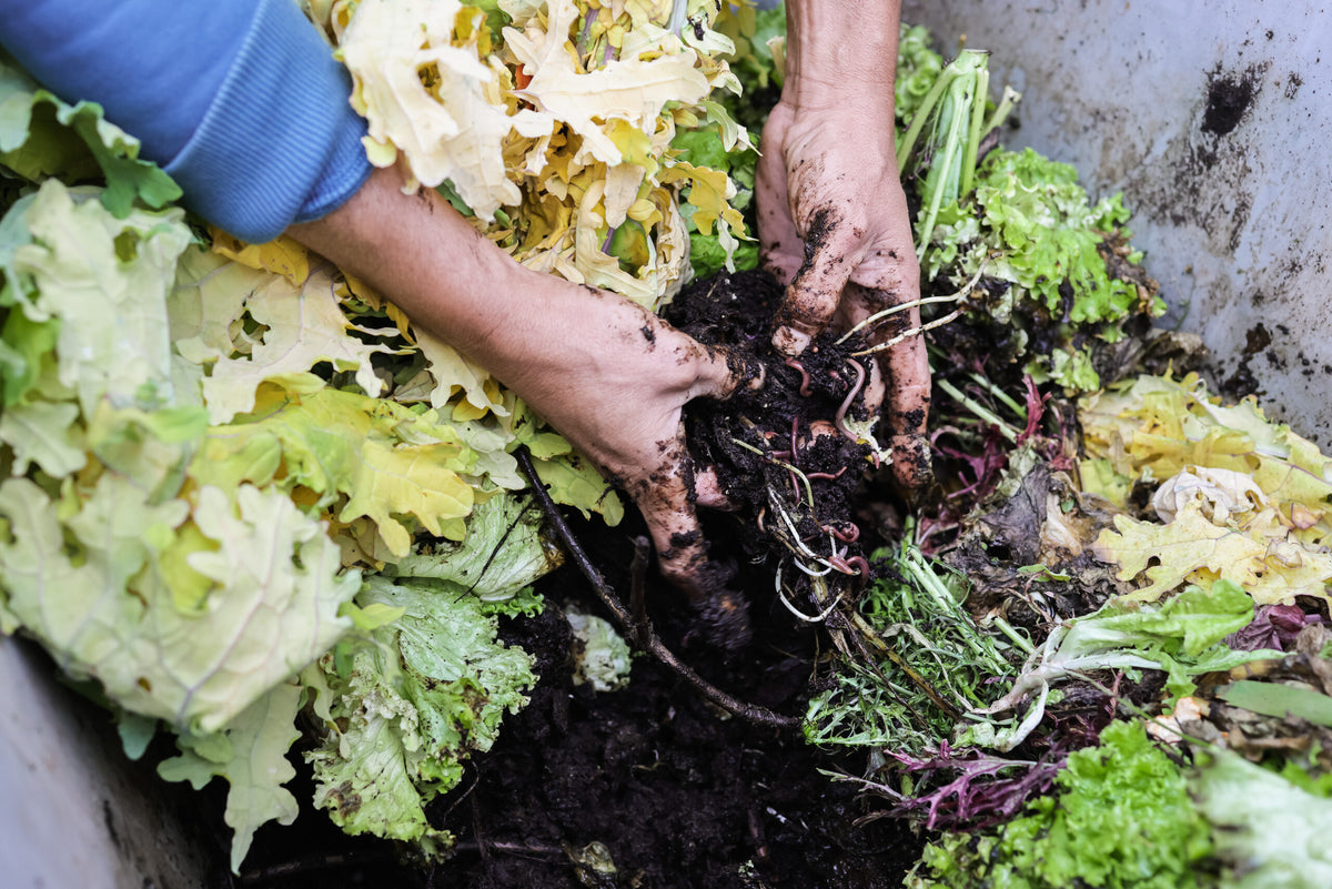 What Can You Compost?