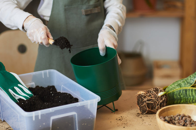 Composting Solution For Small Spaces