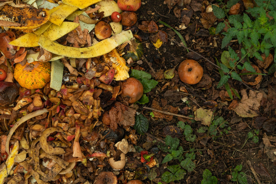 Food Composters – An Easy Way to Turn Food Waste into Garden Nutrition